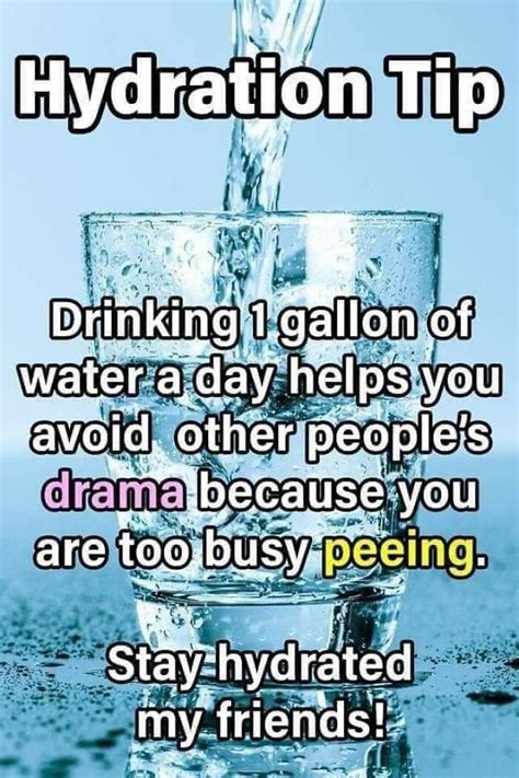 memes about drinking water|More.